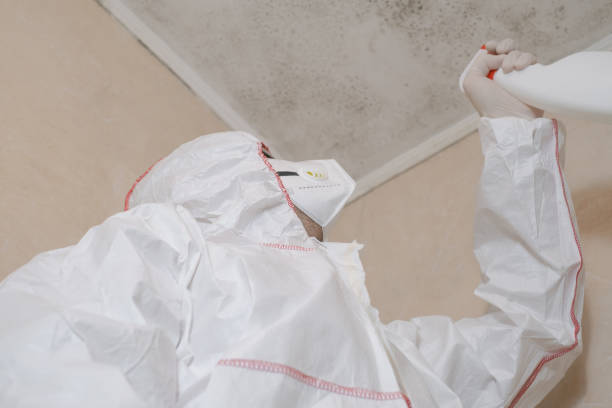 Asbestos and Lead Testing During Mold Inspection